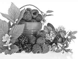 blackberries, Flowers, Bucket, raspberries, green ones