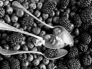 blackberries, Flowers, Spoons, blueberries, Three