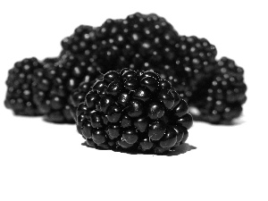 juicy, blackberries