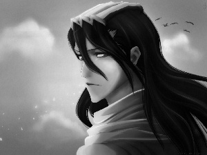 bleach, Kuchiki, Byakuya