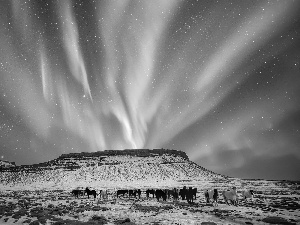 bloodstock, winter, Polaris, Mountains, dawn