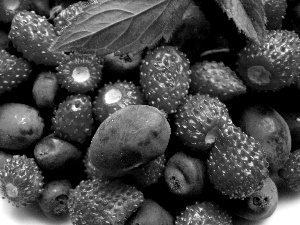 Fruits, mint, blueberries, Strawberries