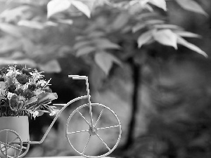 Flowers, trees, blur, Bicycle