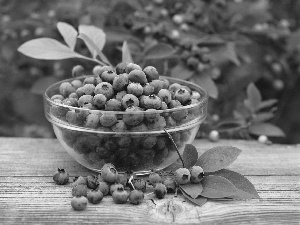 board, leaves, Black, blueberries, bowl