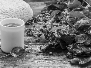 teaspoon, tea, blueberries, boarding, sweater, Cup