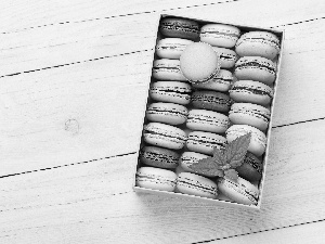 Box, boarding, Macaroons, mint, Cookies