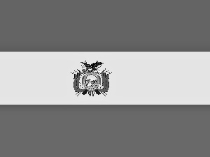 flag, Bolivia