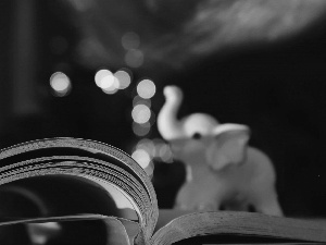 Book, porcelain, elephant