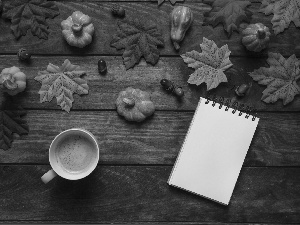 Acorns, Leaf, note-book, boarding, coffee, pumpkin