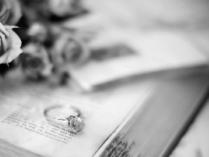 Book, roses, Ring