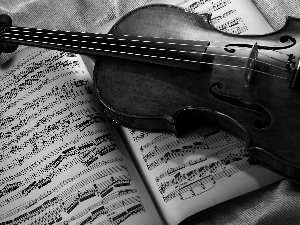 Book, violin, Tunes
