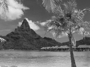 mountains, Palms, Bora Bora, sea