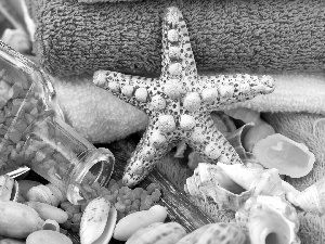 Shells, salt, Spa, Bottle, Blue, starfish, Towels