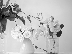 bottles, Bouquets, flowers