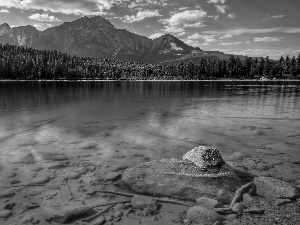 lake, water, bottom, Pure