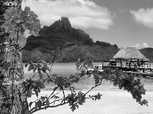 Bougainvillea, Bora Bor, Beaches, Mountains, Ocean