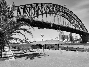 boulevard, Palm, Australia, bridge, Sydney