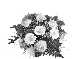 gerberas, bouquet
