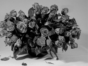 roses, bouquet