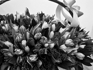 bouquet, basket, bow, Tulips