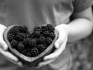 bowl, Women, blackberries
