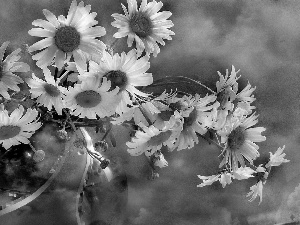 bowl, chamomile, bouquet