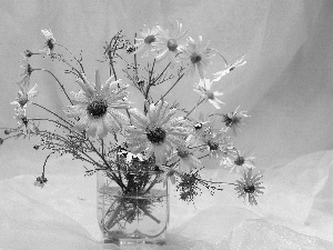 bowl, bouquet, Camomile