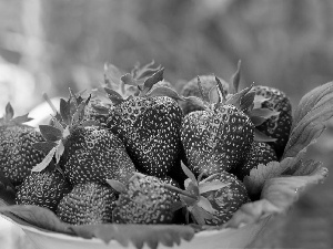 bowl, strawberries, Leaf