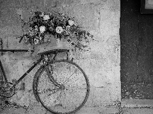 box, Bike, wall