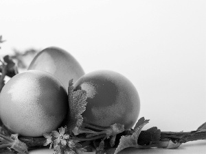 branch, Easter, eggs, Blossoming, color