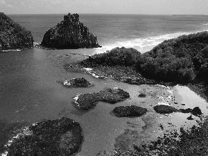 Fernando de Noronha, atlantic, Brazil, Ocean