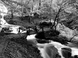 forest, River, bridge, mountains