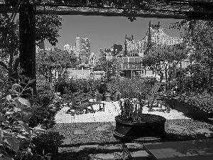 garden, clouds, bridge, skyscrapers