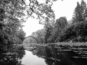 Lake Rakotz, Kromlau Rhododendronpark, trees, viewes, Saxony, Germany, Arch Bridge, reflection, stone