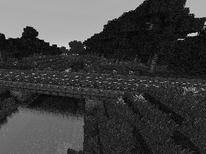 bridge, Minecraft, River