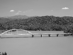 green ones, River, bridge, The Hills