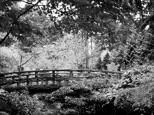 bridges, autumn, Park