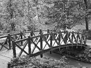 brook, forest, bridges