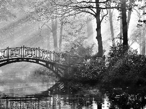 bridges, trees, rays, viewes, Park, brook, sunny