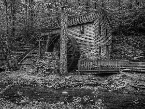 brook, forest, Windmill