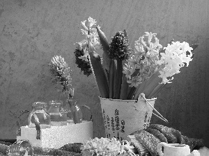 Flowers, Bucket