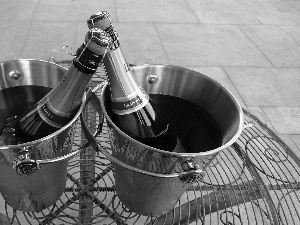 Buckets, Chilled, Champagne