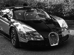 Bugatti Veyron 16.4 Grand Sport