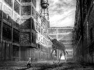 buildings, giraffe, boy
