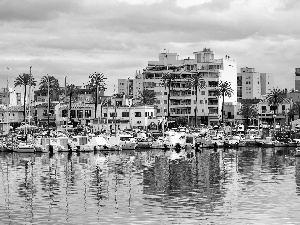 Harbour, Yachts, buildings, boats