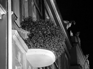 buildings, flowered, Poznań, old town, Night, Balcony