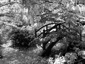 Bush, bridges, trees, viewes, Park