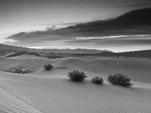 Desert, sun, Bush, clouds