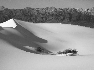 Bush, Leaf, Mountains, Desert, Sky