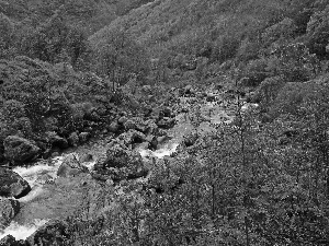 Mountain, Stones, Bush, brook